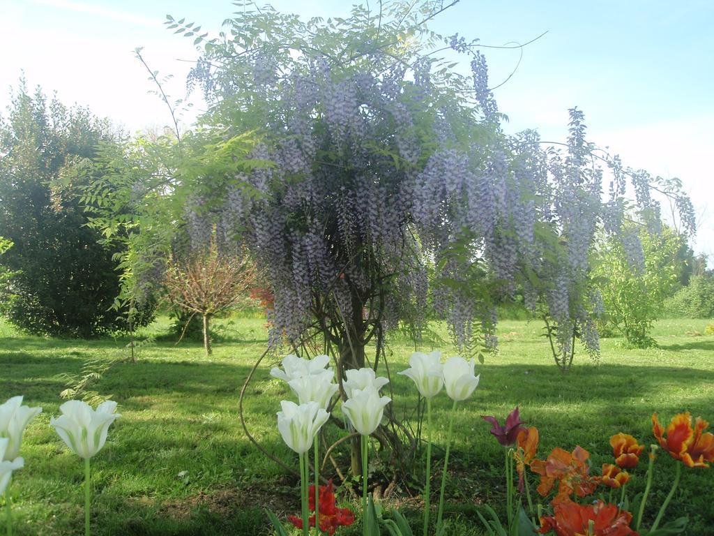 فندق Domaine Mongiron Nérigean المظهر الخارجي الصورة