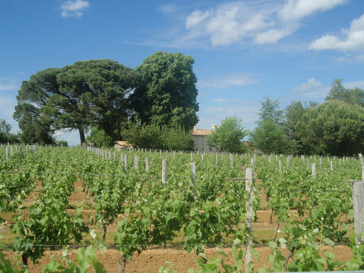 فندق Domaine Mongiron Nérigean المظهر الخارجي الصورة