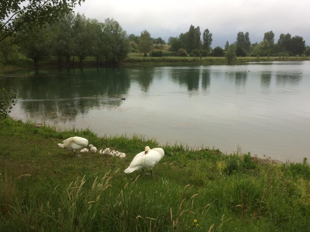 فندق Domaine Mongiron Nérigean المظهر الخارجي الصورة